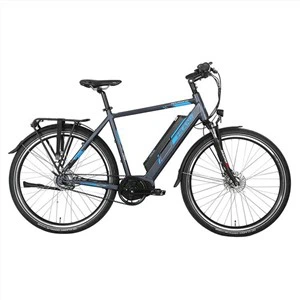 Towne Electric City Bike
