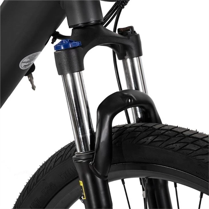 Customized Electric Mountain Bike
