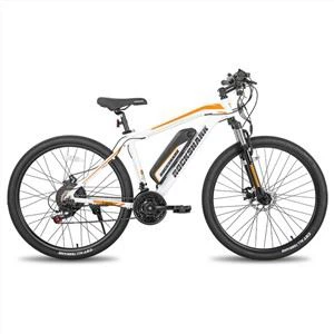 36V Brushless Mountain Bike Mtb