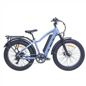 Baron Electric MTB Bicycle