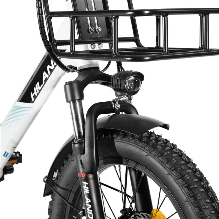 HILAND 20Inch E Bike 250w Rear Hub Motor Aluminium Alloy Frame 7 Speed Fat Tire Electric Cargo Bicycle high quality