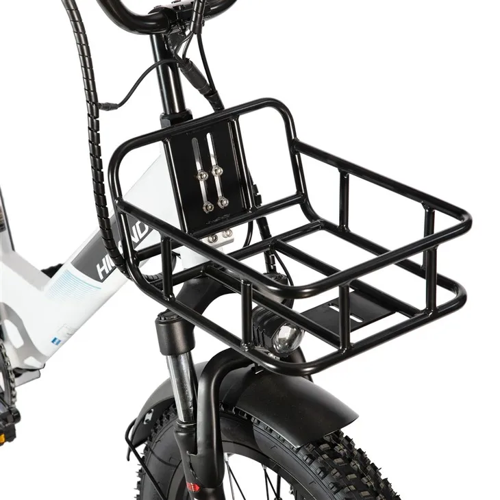 HILAND 20Inch E Bike 250w Rear Hub Motor Aluminium Alloy Frame 7 Speed Fat Tire Electric Cargo Bicycle high quality