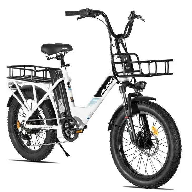HILAND 20Inch E Bike 250w Rear Hub Motor Aluminium Alloy Frame 7 Speed Fat Tire Electric Cargo Bicycle best