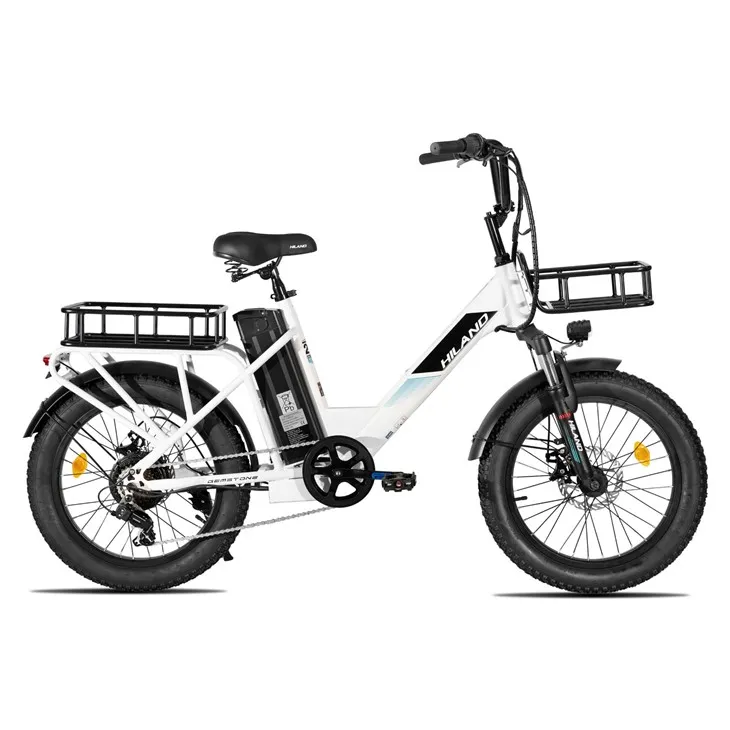 HILAND 20Inch E Bike 250w Rear Hub Motor Aluminium Alloy Frame 7 Speed Fat Tire Electric Cargo Bicycle factory