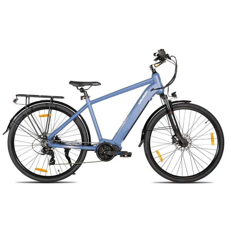 JOYKIE LAMASSU 2026 New Mid Drive Motor Hydraulic Disc Brake Electric Mountain Bike Front Suspension factory