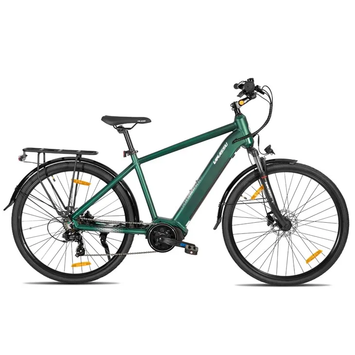 JOYKIE LAMASSU 2026 New Mid Drive Motor Hydraulic Disc Brake Electric Mountain Bike Front Suspension best