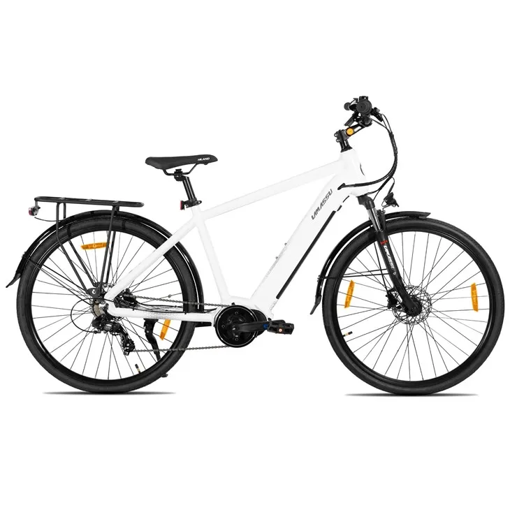 JOYKIE LAMASSU 2026 New Mid Drive Motor Hydraulic Disc Brake Electric Mountain Bike Front Suspension