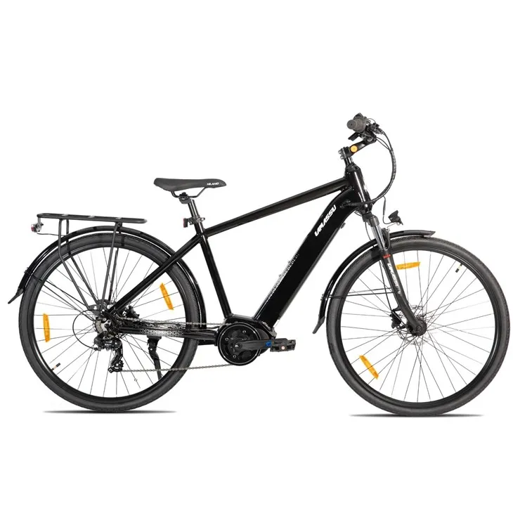 JOYKIE LAMASSU 2026 New Mid Drive Motor Hydraulic Disc Brake Electric Mountain Bike Front Suspension suppliers