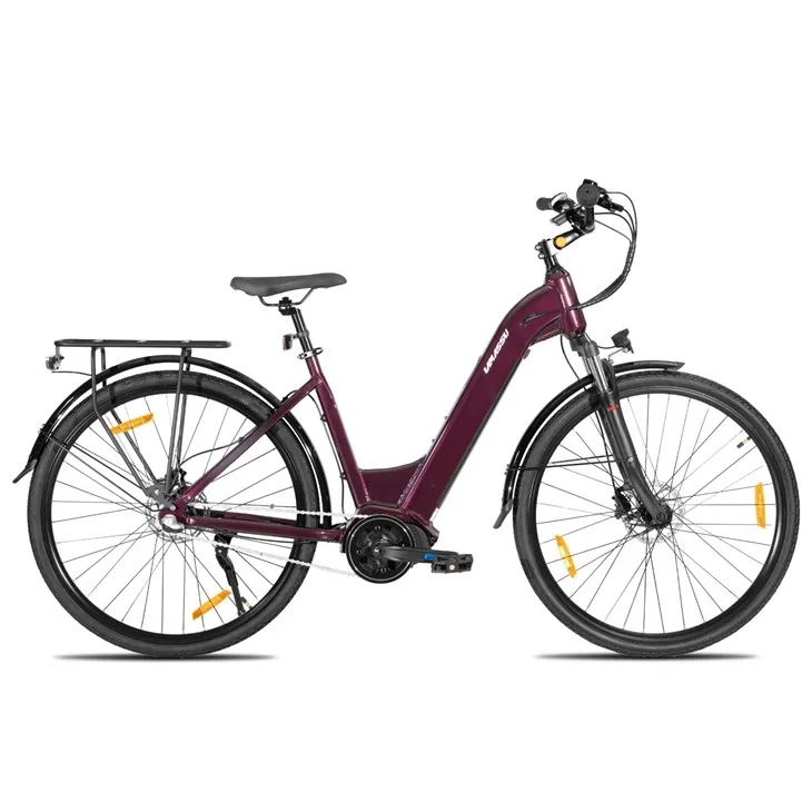 JOYKIE LAMASSU New Model Internal Nexus Swift Electric Mountain Bike Mid Drive Motor Hydraulic Disc Brake factory