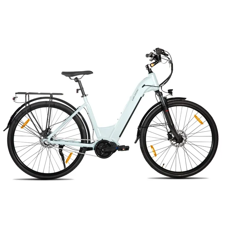 JOYKIE LAMASSU New Model Internal Nexus Swift Electric Mountain Bike Mid Drive Motor Hydraulic Disc Brake best