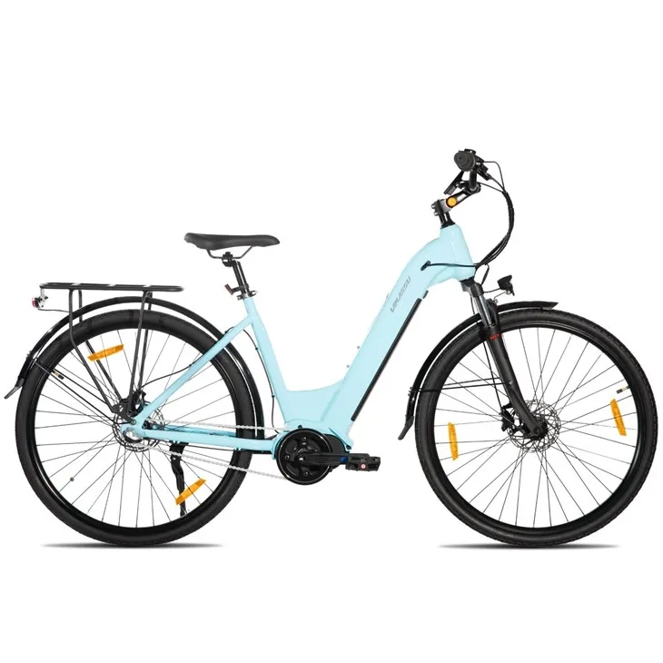 JOYKIE LAMASSU New Model Internal Nexus Swift Electric Mountain Bike Mid Drive Motor Hydraulic Disc Brake suppliers