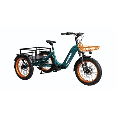 20" 36V 350W City E-Bike
