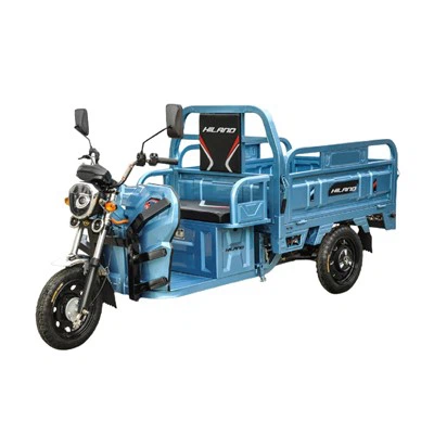 800W/1000W/1200W Electric Tricycle For Freight Transportation/J24ECV007