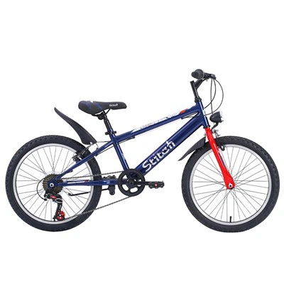 ANDRE 20 Inch MountainTeen Bicycle Bike/J24Y033