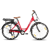 JOYKIE LAMASSU 28 Inch Customizable Electric Mountain Bike 250w 36v Motor Double V Brake 7 Speed Aluminum Alloy Frame