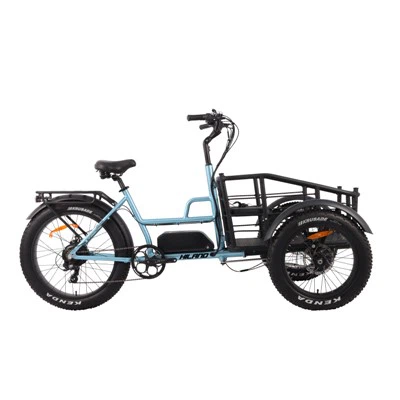 Rear Loader Cargo Bike 48V 15Ah 750W 3-Wheel Bicycle Cargo Tricycle Electric Cargo Bike